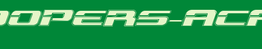 Troopers-Academy-Expanded-Italic.ttf类型，T字母英文