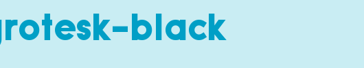 Typo-Grotesk-Black.otf类型，T字母英文