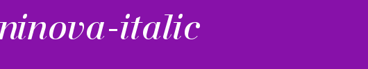 a_BodoniNova-Italic.Ttf
