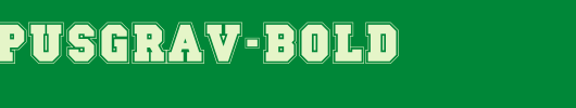 a_CampusGrav-Bold.TTF