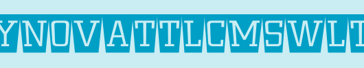 a_CityNovaTtlCmSwLt.TTF