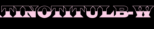 a_LatinoTitulB-W_英文字体