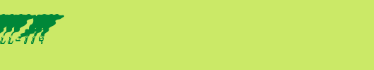 efEMERGENCY-CALL-119.ttf