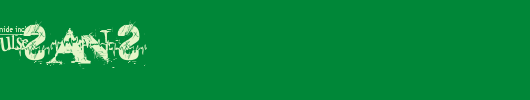pulse-sans.ttf
