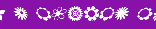 saru-s-Flower-Ding-sRB-.ttf是一款不错的英文字体下载
