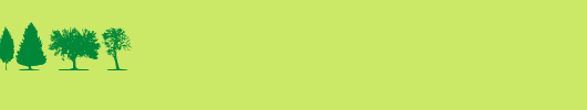 trees-TFB.ttf类型，T字母英文