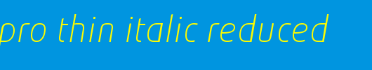 Absolut-Pro-Thin-Italic-reduced