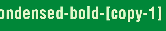 Arena-Condensed-Bold-[copy-1].ttf