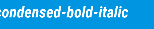 Roboto-Condensed-Bold-Italic.ttf 好看的英文字体
