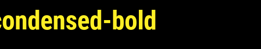 Roboto-Condensed-Bold.ttf 好看的英文字体