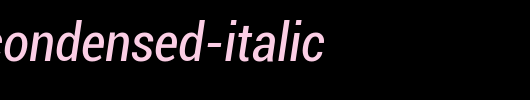 Roboto-Condensed-Italic.ttf 好看的英文字体