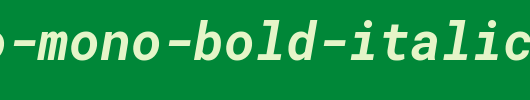Roboto-Mono-Bold-Italic.ttf 好看的英文字体